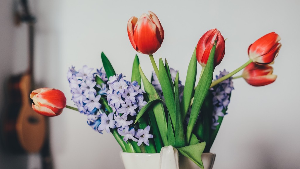 How to split calla lily bulbs?