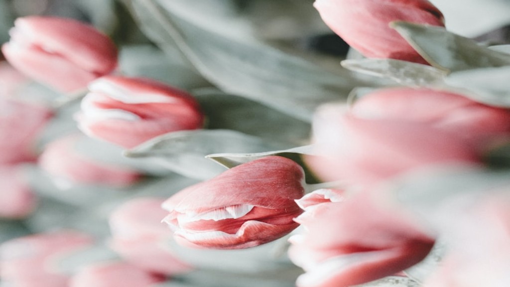 Why use tulip flower lens hood?