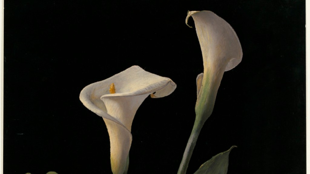 How to make a calla lily out of fondant?