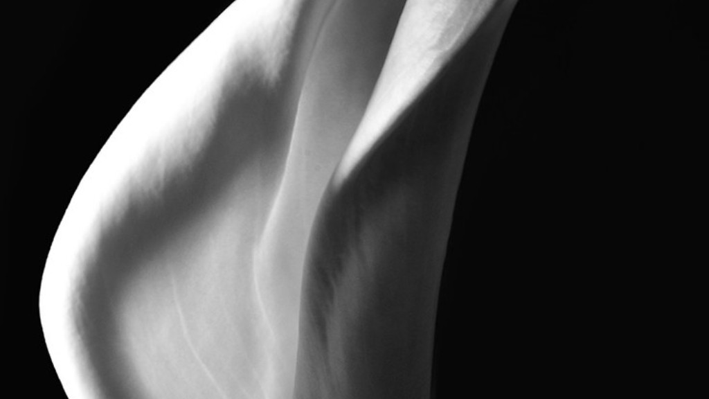 Can i plant my potted calla lily outside?