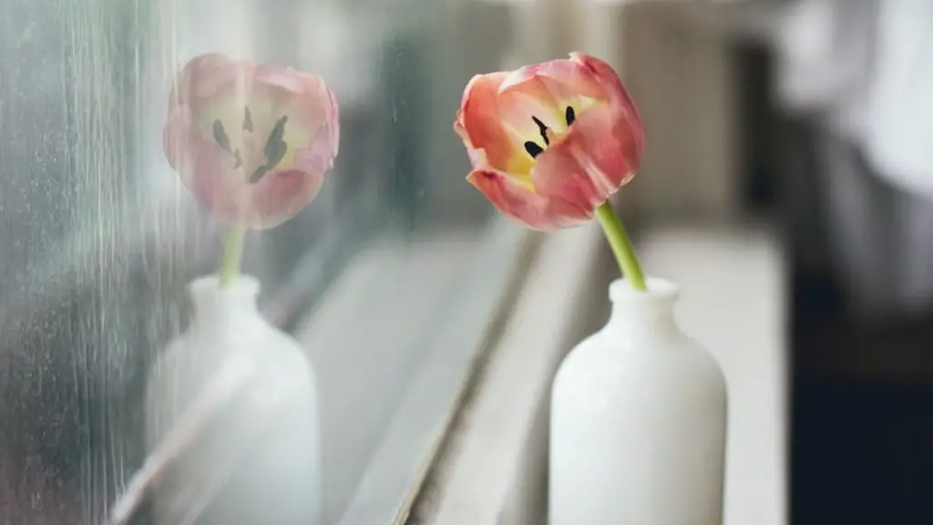 How to make tulip flower with cloth?