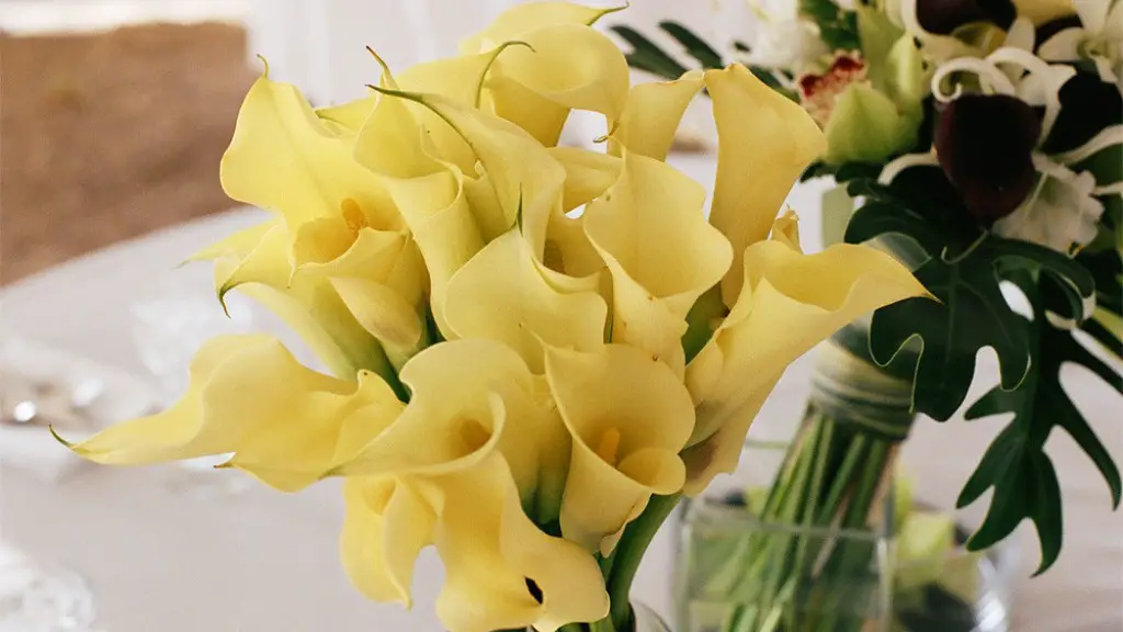 How to arrange calla lily?